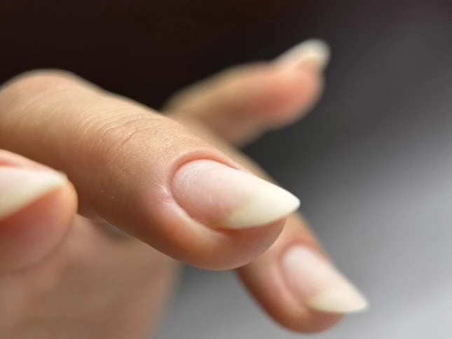 1521fd49-2328-4b19-a16b-687e2a784e42